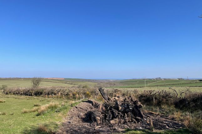 View From Boundary