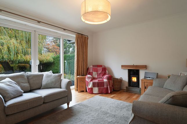 15, Park Lane, Doncaster photo 4