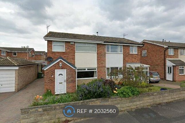 Thumbnail Semi-detached house to rent in Merring Close, Stockton On Tees