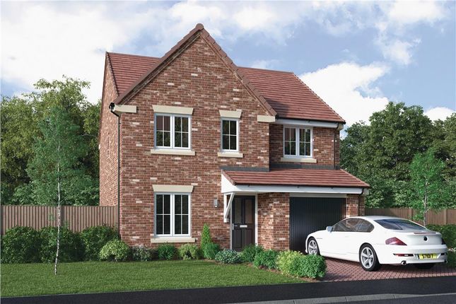 Thumbnail Detached house for sale in "The Hazelwood" at Mulberry Rise, Hartlepool