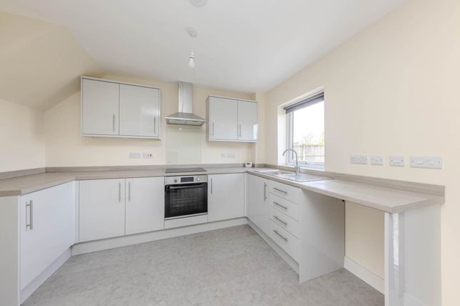 Detached house to rent in Brixham Close, Eaton Park