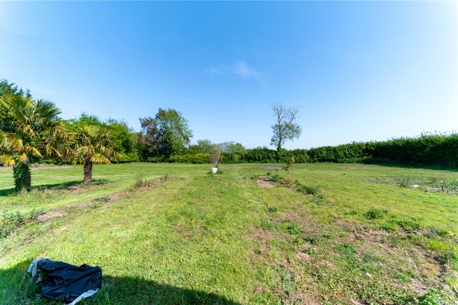 Little Barnes,, Shotley Road, Ipswich photo 4