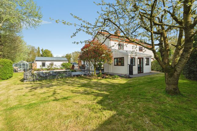 White Cottage, Sandy Lane, Norwich photo 3