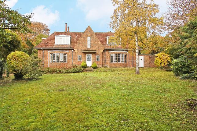 Little Bower (5).Jpg