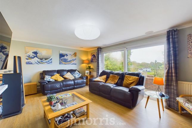 Treforgan Newydd, Cardigan photo 2