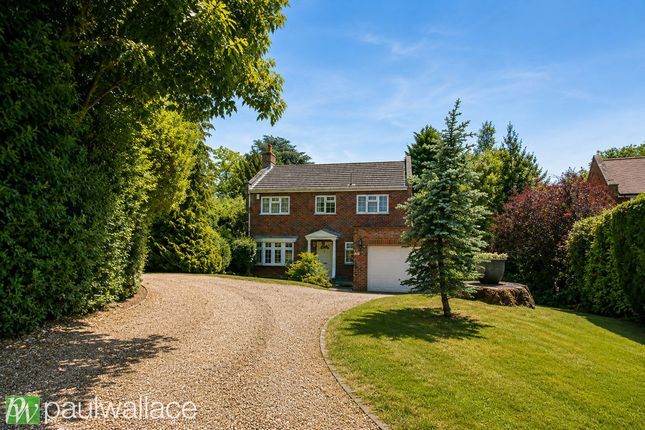 Wellingtonia, Woodlands Close, Hoddesdon photo 5