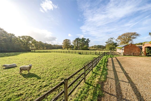 Land for sale in Avon Tyrrell, Bransgore, Christchurch, Hampshire