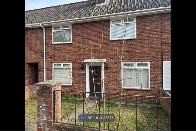 Terraced house to rent in Wycliffe Road, Norwich NR4