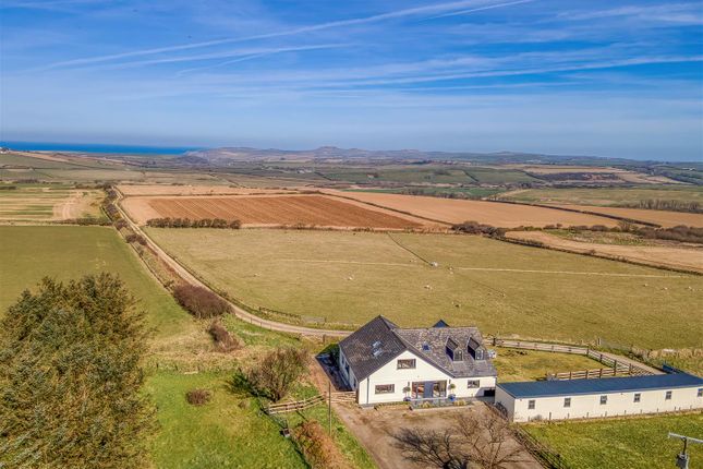 Dji_0553_Hdr-Denoiseai-Clear.Jpg