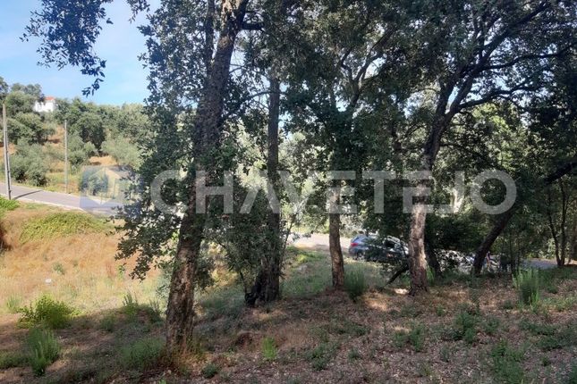 Land for sale in Vila Nova, Serra E Junceira, Tomar