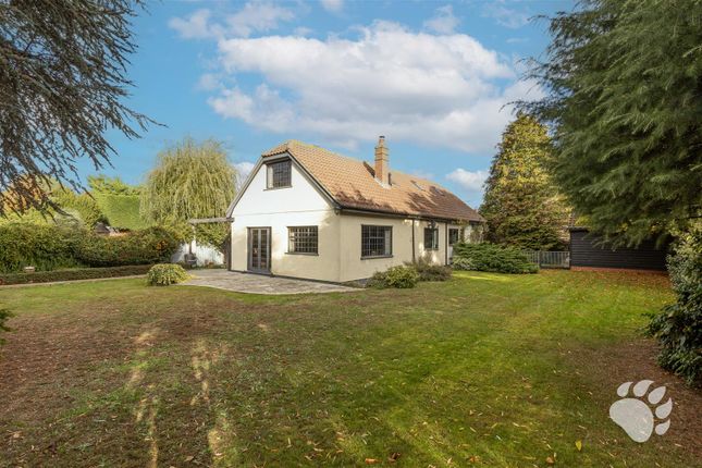 Oak Avenue, Wickford photo 4