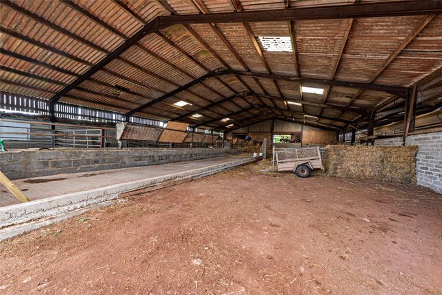 Feed Livestock Shed