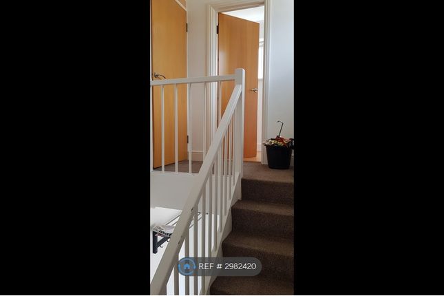 Hill Rise, St. Neots photo 4