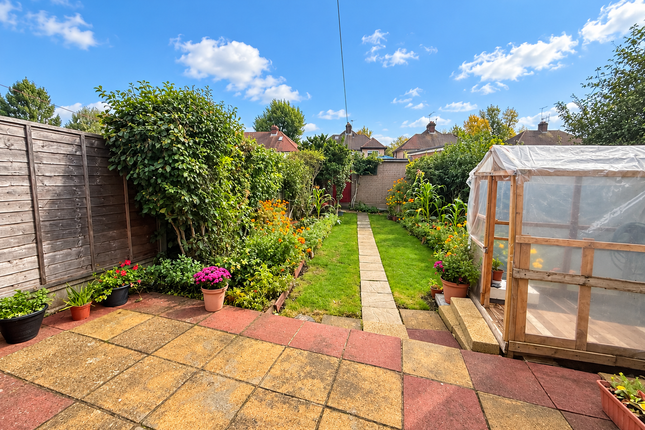 ORPINGTON photo 4