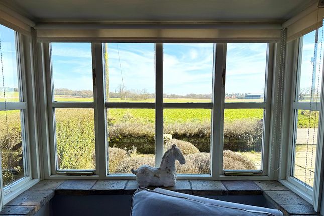 Bay Window