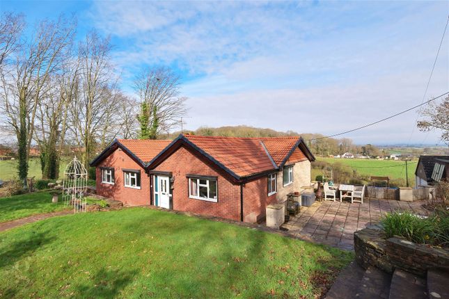 Detached house for sale in Callow, Hereford