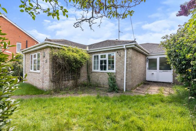 Thumbnail Detached bungalow for sale in Halesworth Road, Southwold