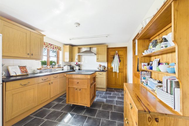 24, Paradise Park, Holsworthy photo 3