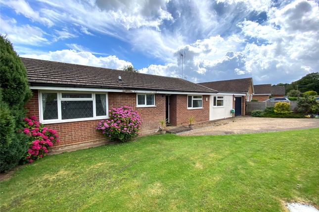 Thumbnail Bungalow to rent in Woodside Road, Beare Green, Dorking, Surrey