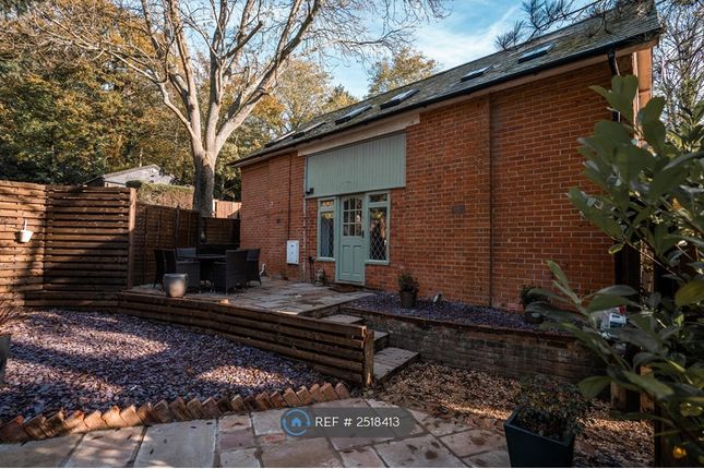 Garden/Patio