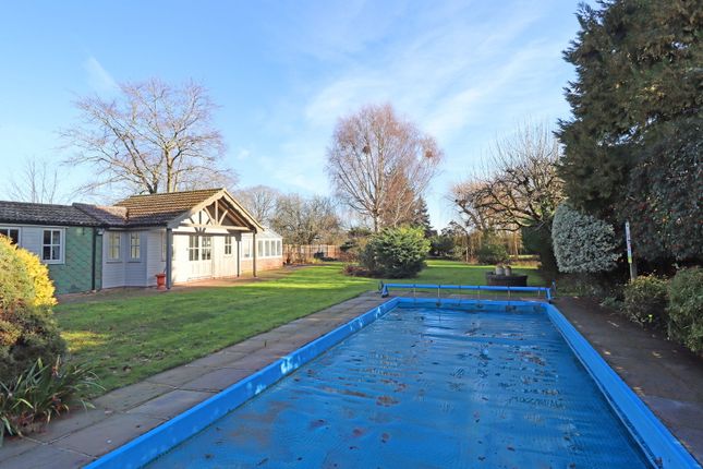 Sechelt, Gaston Street, East Bergholt photo 4