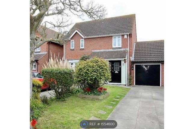 Thumbnail Detached house to rent in Portsmouth Road, Essex