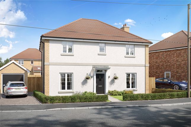 The Oak - Plot 21