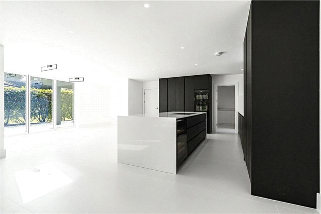 Reception/Kitchen