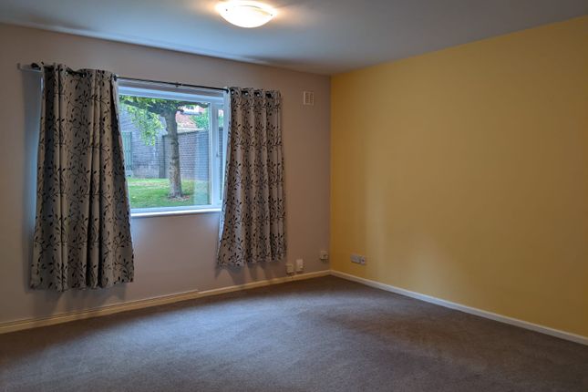 Broomgrove road, Sheffield photo 5