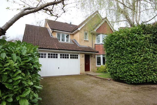 Thumbnail Detached house for sale in Florence Way, Alton