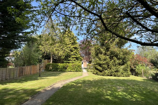 22, Spring Lane, Colchester photo 2