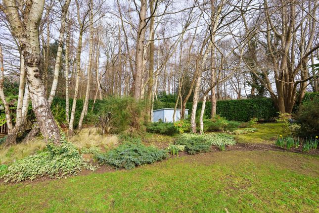 Detached house for sale in Fox Wood, Walton-On-Thames, Surrey