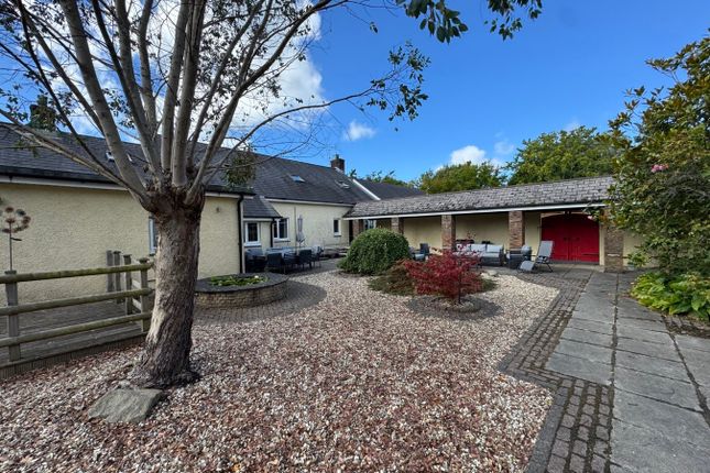 Tynewydd Fields & Cariad Cottage, Cilcennin, Near Aberaeron photo 3