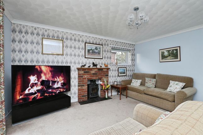 41, Brackenwoods, Swaffham photo 4