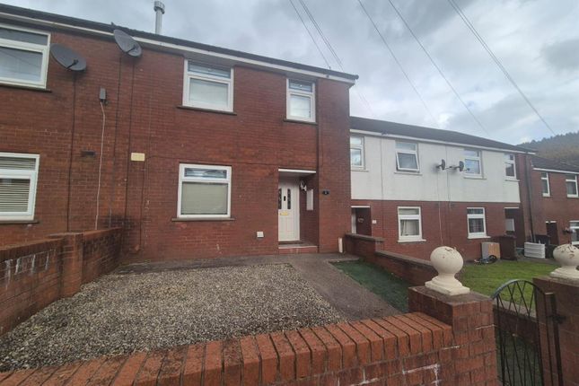 Ynysowen Fach (3).Jpeg