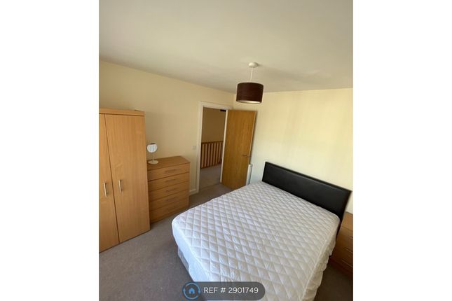 Y Bae, Bangor photo 4