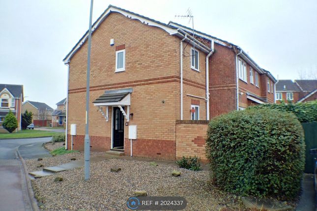 Thumbnail Semi-detached house to rent in Cennon Grove, Ingleby Barwick, Stockton-On-Tees
