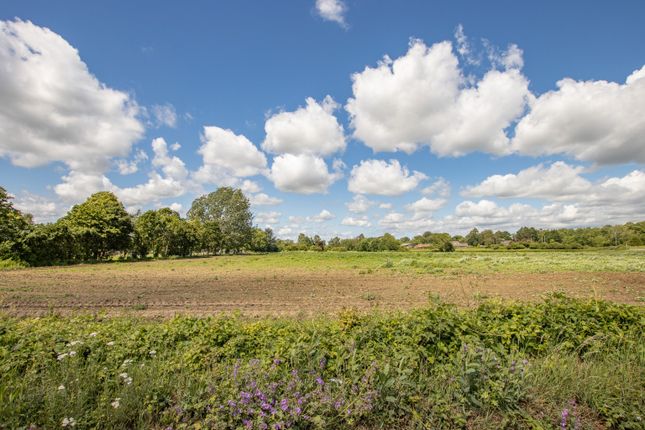 8 Long Lane, West Winch, Norfolk photo 4