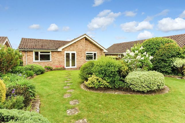 Thumbnail Detached bungalow to rent in Hunts Mead, Sherborne