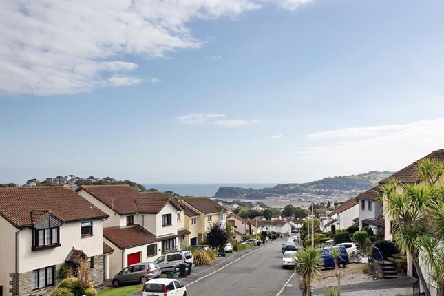 22 Sawyer Drive, Teignmouth photo 3