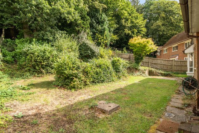 8, Roedeer Copse, Haslemere photo 4
