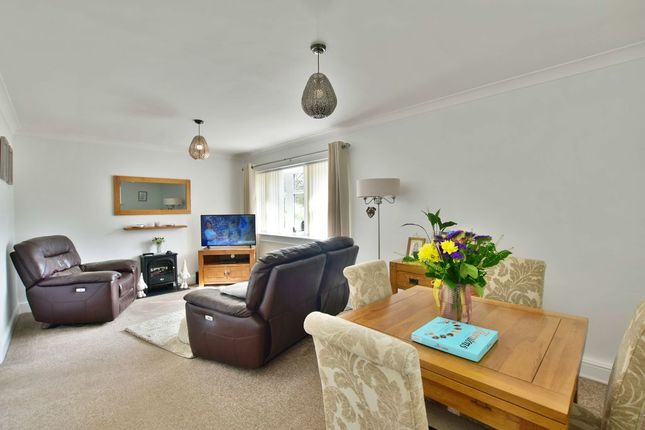 50, Wisteria Avenue, Lincoln photo 3