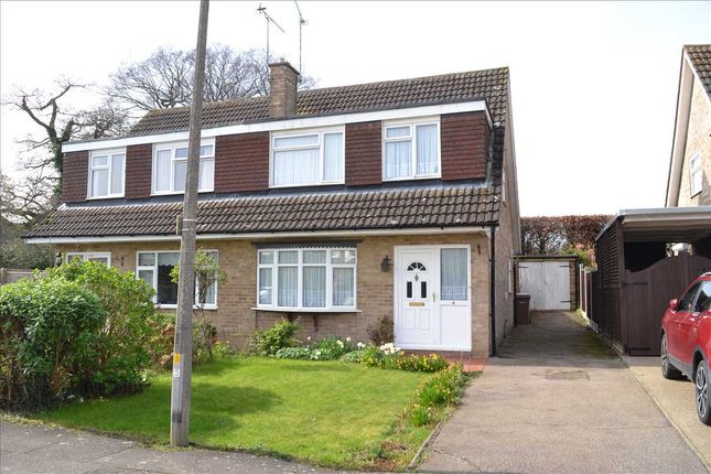 Semi-detached house for sale in Sharpington Close, Galleywood, Chelmsford