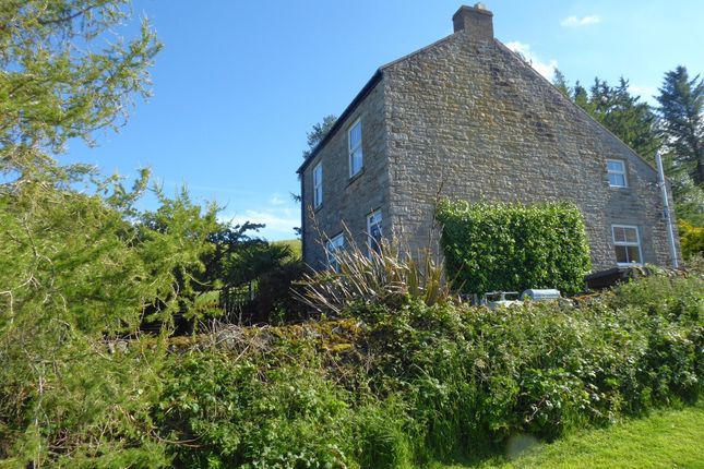 Thumbnail Detached house to rent in Hill House, Allendale