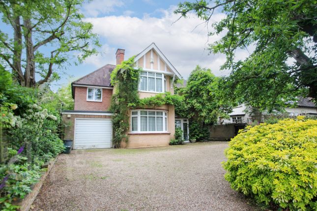 Thumbnail Detached house for sale in St. Clare Road, Colchester