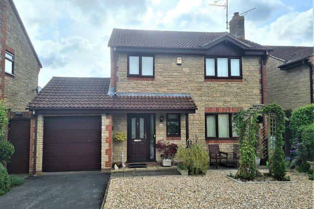 Thumbnail Detached house for sale in St. James Park, Yeovil