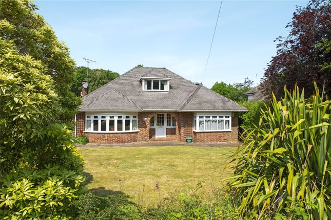 Thumbnail Detached bungalow for sale in Brattle Wood, Sevenoaks