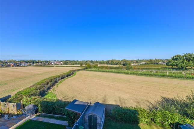 Smallhythe Road, Tenterden photo 4