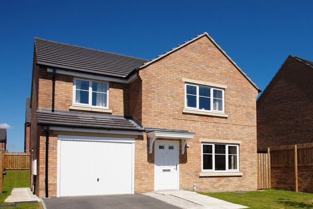 Thumbnail Detached house for sale in "The Roseberry" at Orchard Close, Knaresborough