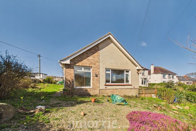 Springfield Sladeway, Fishguard photo 4